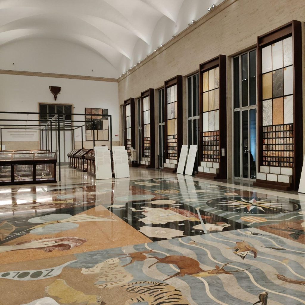 Animali, Vegetali, Rocce, Minerali: Le collezioni ISPRA