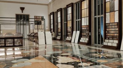 Animali, Vegetali, Rocce, Minerali: Le collezioni ISPRA