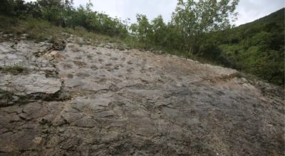 Impronte di dinosauro nel Catasto dei geositi della Regione Lazio