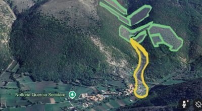 Collaborazione tra l’Università di Perugia e l’ISPRA per lo studio dell’impatto dei tagli forestali sui fenomeni franosi di Nottoria (Umbria)